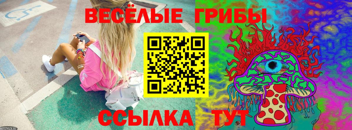 Галлюциногенные грибы мицелий Среднеуральск